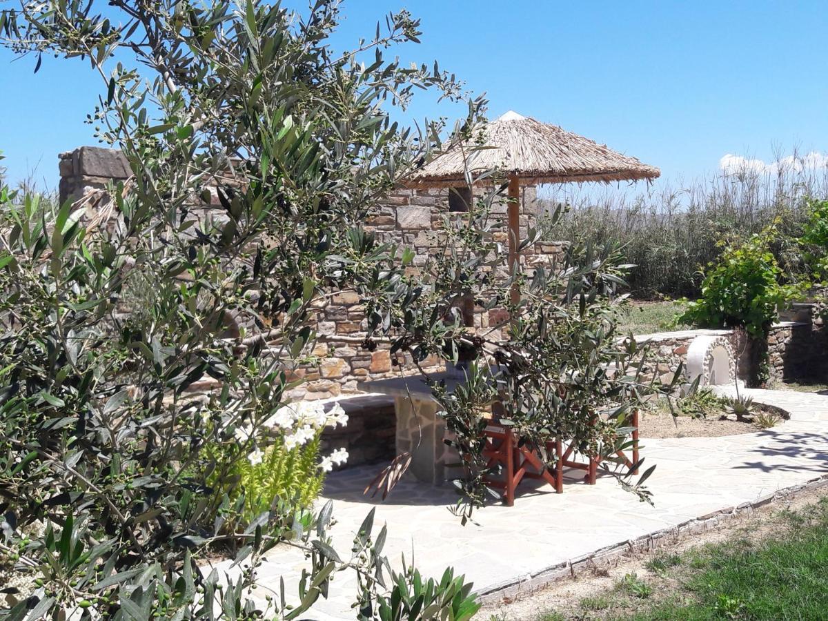 Elpidas Studios Agia Anna  Extérieur photo